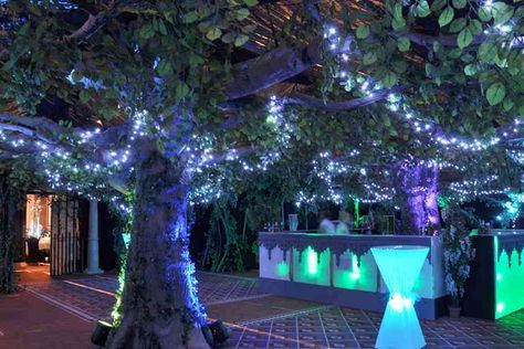 Avatar Tree, Roses Nursery, Enchanted Forest Prom, Avatar Theme, Candles Ideas, Canopy Architecture, Prom Themes, Canopy Bedroom, Backyard Canopy