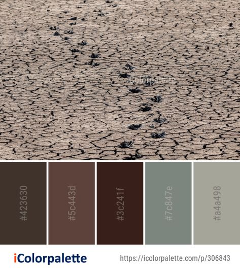 2 Mud Color Palette ideas in 2022 | iColorpalette Mud Color Palette, Dirt Color Palette, Soil Color Palette, Color Palette Ideas, Paint Combinations, Water Images, Palette Ideas, Hex Codes, Hex Color Codes