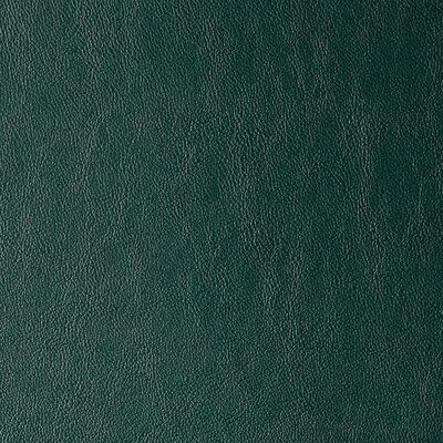 Mitchell Collection Magic Faux Leather Fabric | Perigold Faux Leather Fabric, Suede Fabric, Craft Organization, Leather Fabric, Green Leather, Sewing Fabric, Smooth Leather, Upholstery Fabric, Supernatural