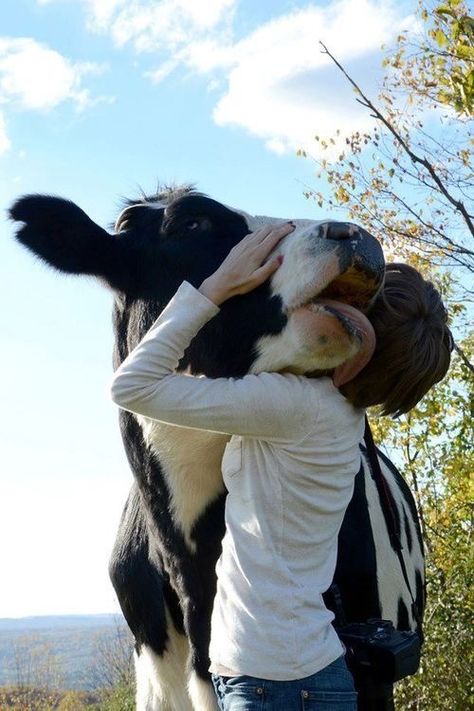 Foto Cowgirl, Cute Cows, Animal Rights, Veterinarian, 귀여운 동물, Country Life, Animals Friends, Farm Life, Beautiful Creatures