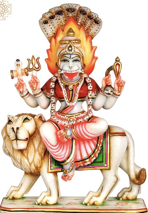 Prathyangira Devi, Pratyangira Devi, Lord Narasimha, Maa Kali Images, Scary Dreams, God Photos, Special Rangoli, Four Arms, Lord Shiva Family