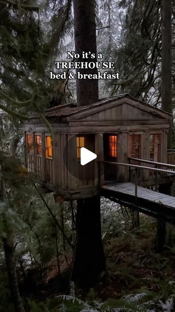 Seattle Bucket List on Instagram: "This where we want to be until next notice🌲😅 Who’s coming? 
🎥: @treehousepoint #Seattle #SeattleBucketList #ThingsToDoInSeattle" Beach Tiny House, Pnw Travel, Treehouse Point, The Blue Moon, Hidden Beach, Unique Hotels, Romantic Getaway, Cabin In The Woods, Cabin Life