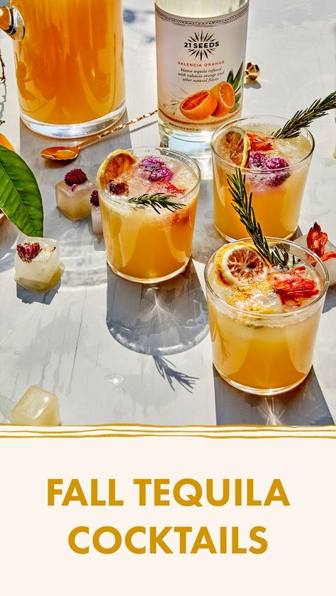 Try these easy fall drink recipes made with 21 Seeds Fruit Infused, Gluten-Free & Keto-Friendly Tequila. Clementine Cocktail, Low Cal Cocktail, Infused Tequila, Easy Cocktail Recipes, Orange Notes, Craft Cocktail Recipe, Bar Business, Fall Dinner Party, Valencia Orange