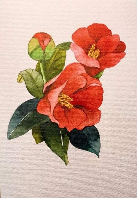 Camellia Watercolor, Camellia Painting, Small Flower Drawings, Floral Art Paintings, Flower Drawing Design, Poppy Painting, Watercolour Inspiration, Watercolor Projects, Watercolor Flower Art