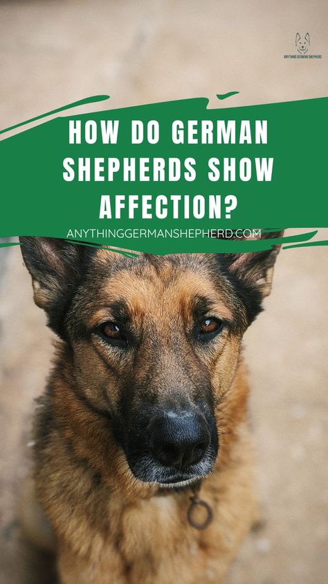 How Do German Shepherds Show Affection? The Ultimate Guide Small Dog Print Tattoo, Dogs Tattoo Ideas, German Shepherd Care, Line Tattoo Dog, Dog Ear Tattoo, Dog Line Tattoo, Dog Line Art Tattoo, German Shepherd Puppies Training, Dog Aesthetics