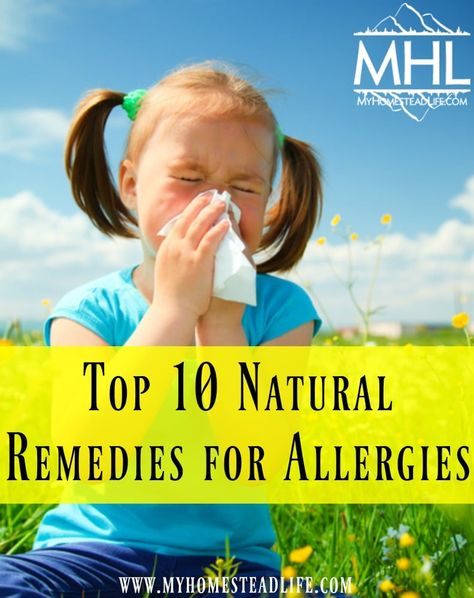 Top 10 Natural Remedies for Allergies Remedies For Allergies, Seasonal Allergy Symptoms, Home Remedies For Allergies, Natural Remedies For Allergies, Kids Allergies, Allergy Remedies, Chest Congestion, Allergy Relief, Organic Plant