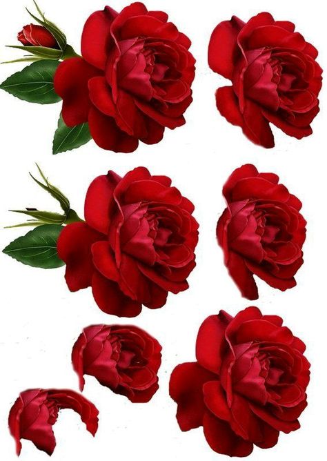 Red rose Tuplets Flowers, Printable Flowers, Decoupage Printables, 3d Sheets, Decoupage Vintage, Card Toppers, 3d Paper Crafts, 3d Cards, Flower Printable