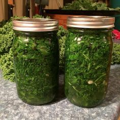 Fermented Vegetables Recipes, Fermented Foods Benefits, Kale Recipe, Fermented Kimchi, Fermented Veggies, Fermentation Recipes, Fermented Vegetables, Kale Recipes, Pickled Veggies