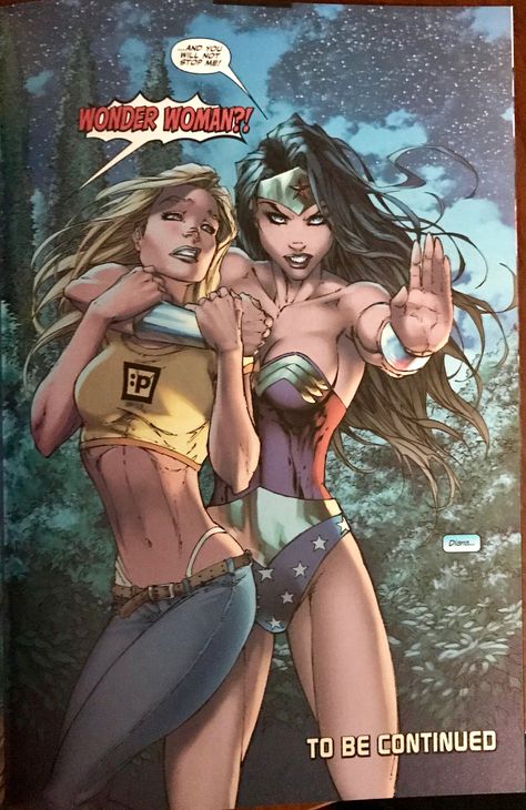 Wonder Woman and Kara by Michael Turner and Peter Steigerwald 2004 Superman Batman Apocalypse, Superman X, Frank Cho, Michael Turner, Superhero Villains, Univers Dc, Scott Campbell, Comics Girl, Comic Book Artists