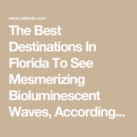 The Best Destinations In Florida To See Mesmerizing Bioluminescent Waves, According To Visitors Glowing Plankton, Bioluminescent Plankton, Kelly Park, Indian River Lagoon, Dark Summer, Tourism Marketing, Merritt Island, Thousand Islands, Visit Florida