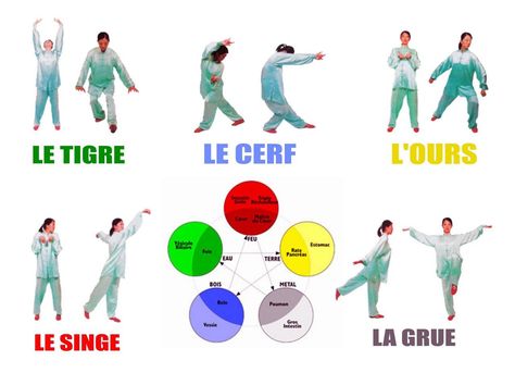 Wu Qin Xi – Jeu des cinq animaux - ses bienfaits Selon les Annales des printemps et automnes de Lü, le Wu Qin Xi remonte à l’antiquité. Dû au fait que les rivières débordaient et que l’humidité régnait sur la Plaine centrale de la Chine, beaucoup de gens... Chi Gong, Tai Chi Qigong, Birthday Background Images, Chi Kung, Tai Chi Chuan, Dukan Diet, Qi Gong, Gongs, Wellness Gifts