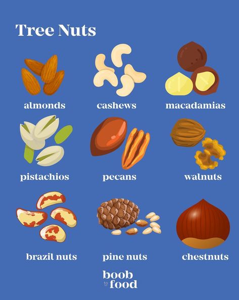 Cashew Allergy, Nut Allergy, Tree Nut Allergy, Packaged Snacks, Brazil Nuts, Almond Nut, Food Allergy, Nut Butters, Tree Nuts