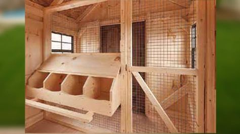 Osb Chicken Coop, Inside Chicken Coop, Wood Chicken, Cute Chicken Coops, Chicken Coop Garden, Chicken Barn, Backyard Chicken Coop Plans, Chicken Coup, Chicken Nesting Boxes