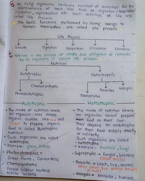 Handwritten notes on the incredible processes that sustain life! 🌱📜"Curious for more? Follow and let me know in the comments if you want the complete notes! 🌟📖" #biologynotes #class10biology #class10importantquestions #examnotes #neetpreparation #biology Life Processes Class 10 Notes, Commerce Notes, Class 10 Notes, Class 10 Cbse, Biology Notes, Class 12, Handwritten Notes, Class 10, Study Notes