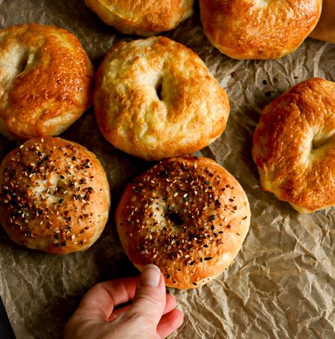 Same Day Bagel Recipe, Mini Bagel Recipes, Mini Bagels Recipe, Types Of Bagels, Best Homemade Bread Recipe, Milk Bread Recipe, Tiny Farm, Mini Bagels, Homemade Bagels