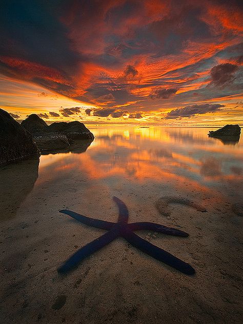 Aitutaki Atoll in Cook Islands, South Pacific Ocean Cook Island, Beach At Sunset, Sunrise Photos, Image Nature, Sun Rise, Painted Shells, Perfect Photos, Sun Set, Cook Islands