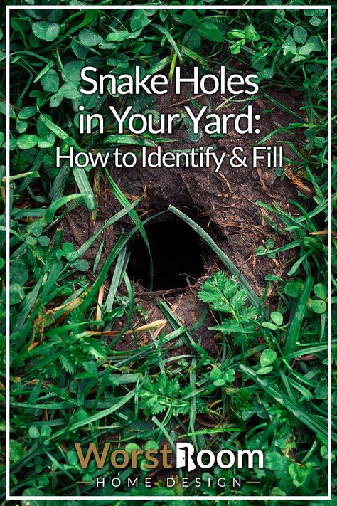 Snake Holes in Your Yard: How to Identify & Fill How To Keep Snakes Out Of Garden, Getting Rid Of Snakes In Yard, How To Repel Snakes From Yard, Snake Free Landscaping, Best Snake Repellent, Snake Proof Fence, How To Get Rid Of Snakes Around House, Snake Proof Yard, Snake Proof Garden