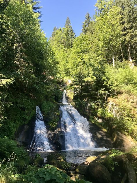 Black Forest Germany, The Black Forest, Black Forest Cake, Life Map, Forest Cake, Picnic Spot, Instagram Travel, Forest Photography, Europe Summer