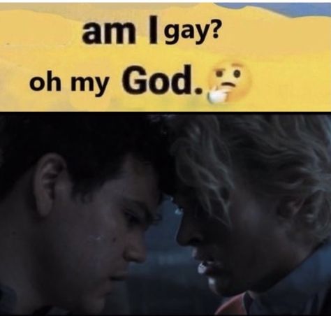 Tom Blythe, Tom Blyth, Hunger Games Memes, Hunger Games Fandom, Dystopian Books, Hunger Games Humor, Hunger Games 3, Gay Memes, Love Film