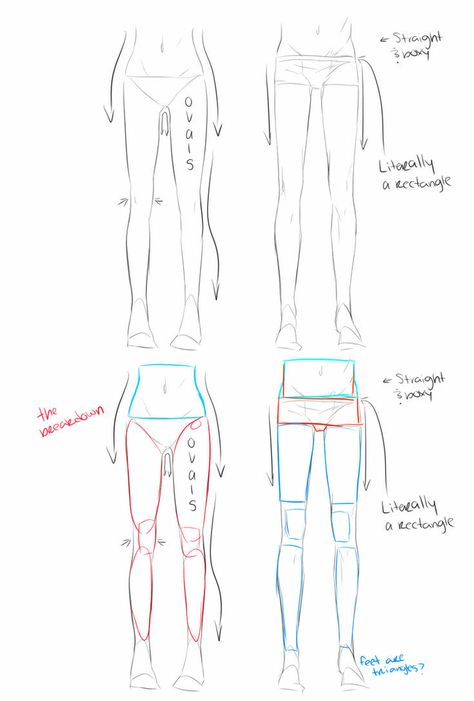 Leg Drawing Tutorial, Legs Tutorial, Legs Drawing, Leg Anatomy, Drawing Legs, How To Explain, Anatomy Tutorial, Body Drawing Tutorial, Anatomy Sketches