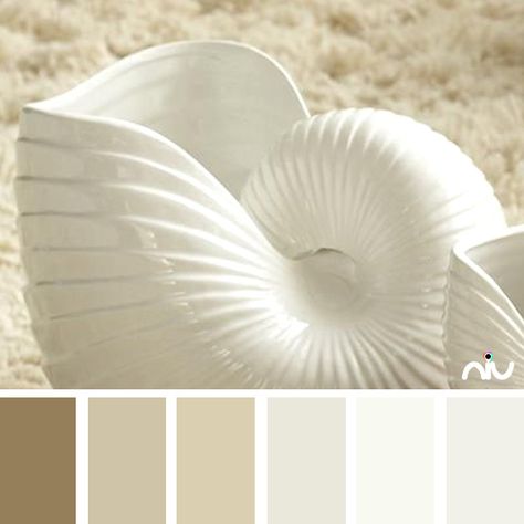 Shell Color Palette Sea Shell Color Palette, Shell Colour Palette, Seashell Color Palette, Shell Color Palette, Chic Coastal Decor, Gradient Palette, Color Thesaurus, Easy Decor Ideas, Beach Pastel