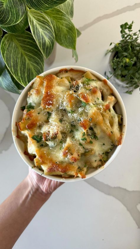 Chicken And Broccoli Baked Ziti, Chicken Broccoli Ziti, Chicken Ziti, Chicken Broccoli Bake, Ziti Pasta, Baked Chicken Recipes Easy, Broccoli Bake, Baked Ziti Recipe, Baked Ziti