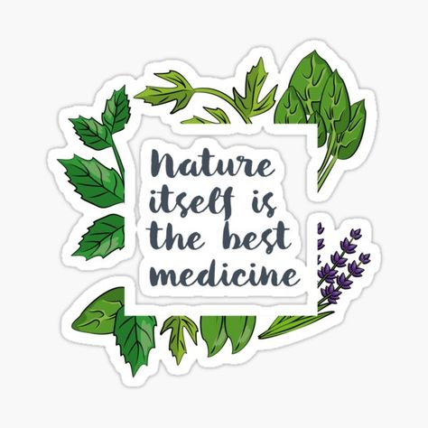 "Nature Itself Best Medicine Inspirational Herbalist Quote" Sticker for Sale by raindwops | Redbubble Herbalist Quotes, Herb Quotes, Natural Medicine Quotes, Medicine Quotes, Holistic Living, Quote Stickers, Planting Herbs, Medicinal Plants, Natural Medicine