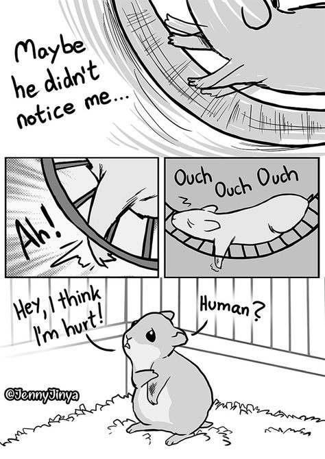 Artist Who Makes People Cry With Her Animal Comics Just Released A New One About A Neglected Hamster Happy Comics, Animal Comics, Instagram Vs Real Life, Stories That Will Make You Cry, Life Comics, Hams, Cute Stories, Make You Cry, Cute Comics