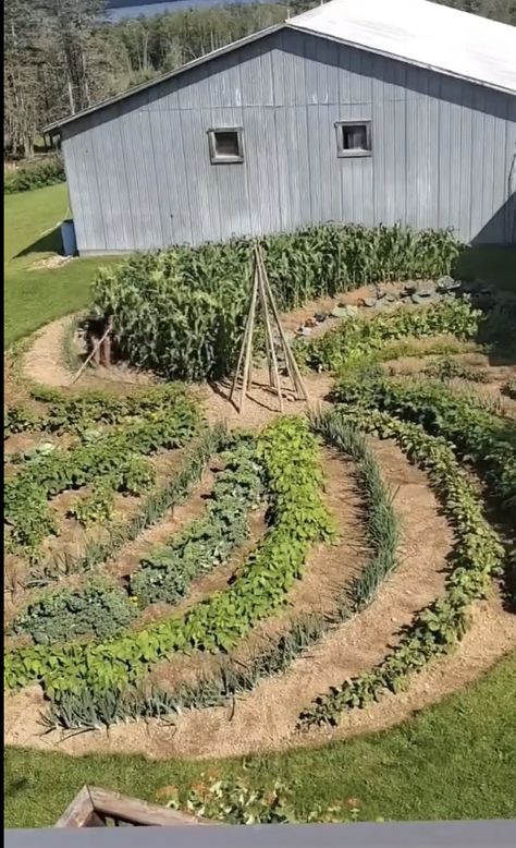 Huge Vegetable Garden, Small Homestead Layout Ideas, Small Hobby Farm Layout, Rotational Grazing Layout, 2 Acre Farm Layout, 1 Acre Homestead Layout Small Farm, Backyard Farming Ideas, Farm Landscaping Ideas, 5 Acre Farm Layout