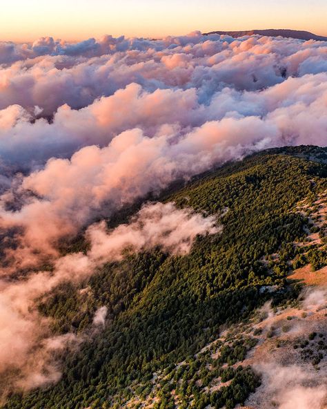 Overshadowed By The Syrian War, Lebanon's Beauty Is Revealed In 50 Breathtaking Photos Go Skiing, Oil Industry, Beirut Lebanon, Qatar Airways, Booking Flights, Tourist Places, Ancient Architecture, Travel Tours, Green Trees