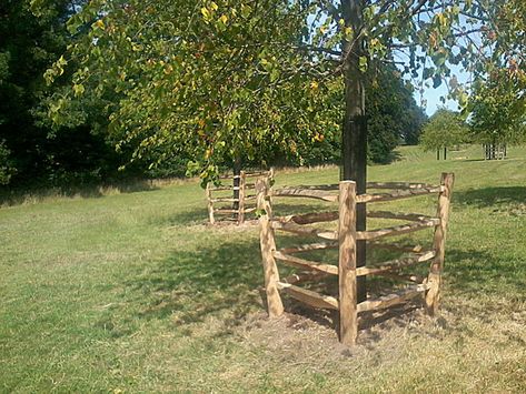 Check Out These Chestnut Tree Guards - Torry Hill Tree Guard Ideas, Fruit Shrubs, Diy Branches, Tree Guards, Tree Protection, Fruit Trees Backyard, Fruit Shrub, Tree Fence, Deer Proof