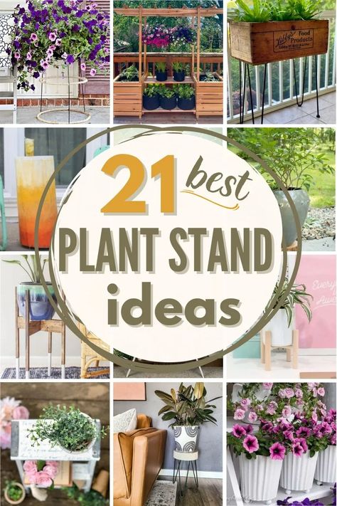 With a few simple supplies and a bit of creativity, you can make an eye-catching display with one of these great DIY plant stand ideas! #DIY #plant #plantstand #DIYplantstand #plantstandideas #DIYplantideas #plants #plantideas #DIYplanters Tattoo Trees, Plant Stand Decor, Plant Stand Ideas, Ladder Ideas, Plant Display Ideas, Indoor Plant Wall, Porch Plants, Decorating Crafts, Outside Plants