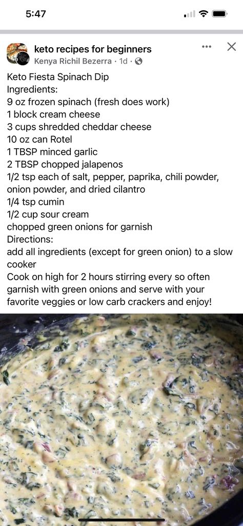 Spinach Dip Crock Pot Rotel, Spinach Rotel Crockpot Dip, Crockpot Spinach Rotel Dip, Rotel Spinach Dip Crockpot, Crockpot Spinach Dip With Rotel, Keto Crockpot Dips, Spinach Rotel Cheese Dip Crockpot, Spinach Dip With Rotel And Cream Cheese, Spinach Rotel Cheese Dip