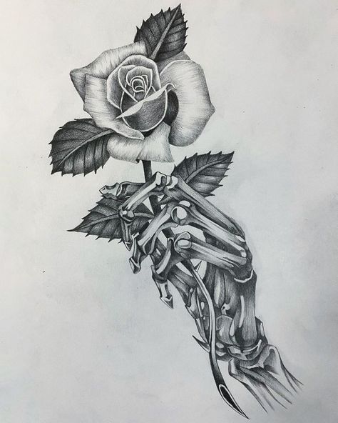 Skeleton And Rose Tattoo, Rose With Skeleton Hand, Skeleton With Roses Tattoo, Skeleton Hand Rose Drawing, Skeleton Hand With Rose, Skeleton Hand Rose, Skeleton Hand Holding Rose Tattoo, Half Skeleton Half Flower Tattoo, Rose Skeleton Hand Tattoo