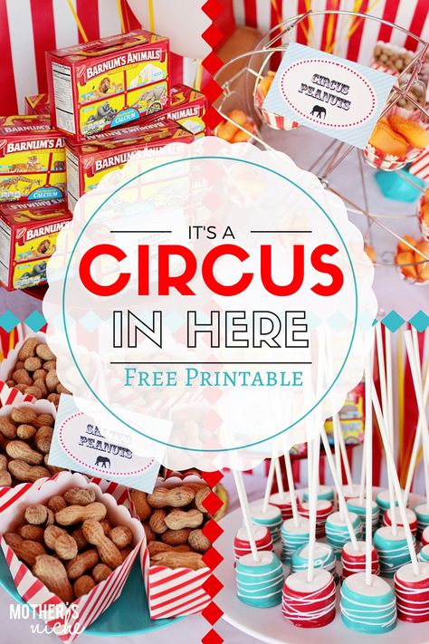 Circus Party: The Best Games, Food, and Decor for your Big Top Bash! PLUS free water bottle labels printables Circus Party Foods, Circus Games, Pirate Party Food, Dumbo Birthday, Circus Food, Circus Birthday Party Theme, Labels Printables, Carnival Birthday Party Theme, Circus Theme Party