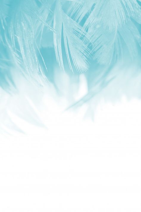 Feather Background Wallpapers, Blue Feather Background, White Blue Background, Feathers Background, White And Blue Background, Blue And White Background, Blue Background Patterns, Black Phone Background, Universe Wallpaper