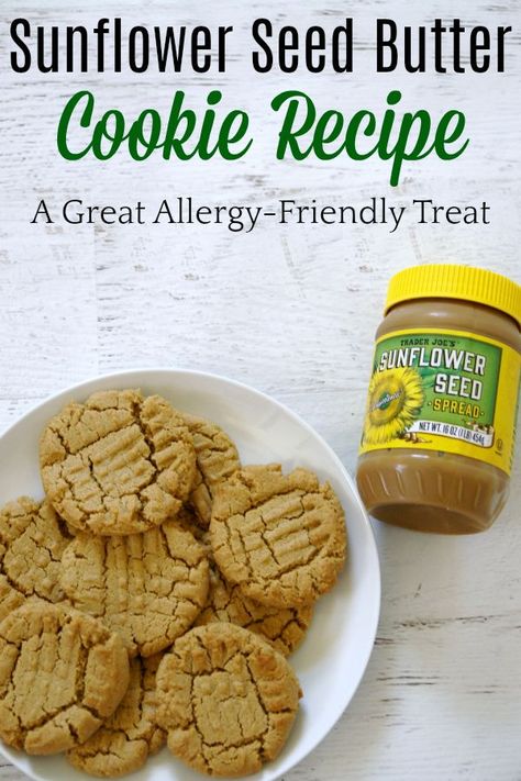 Sunflower Seed Butter Cookies, Sunflower Butter Recipes, Sunflower Seed Butter Recipes, Sunflower Seed Cookies, Sunflower Butter Cookies, Sunbutter Recipes, Peanut Butter Alternatives, Allergy Friendly Desserts, Sunflower Seed Butter