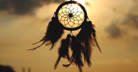 Learn How To Interpret Dream Signs & Manifest Your Dreams Dream Catcher Quotes, Money Corner, What Your Dreams Mean, Wealth Corner, Facts About Dreams, Dreamcatcher Wallpaper, Native American Children, Recurring Dreams, Dream Live