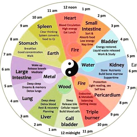 ☯️Did you know that according to Chinese Medicine there are optimal times of the day to eat, nap, study and do certain activities 😉? Our Qi… Meridian Clock, Chinese Body Clock, Meridian Lines, Energy Breakfast, Oatmeal Diet, Body Clock, Chinese Calendar, Reflexology Massage, Health Tools