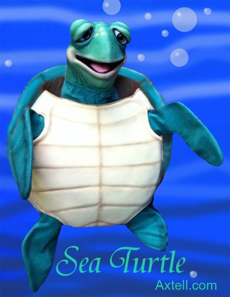 Turtle Puppet, Kangaroo Art, Funny Character, Hand Puppets, Animal Dolls, Move In, Sea Turtle, Classroom Decor, Puppets