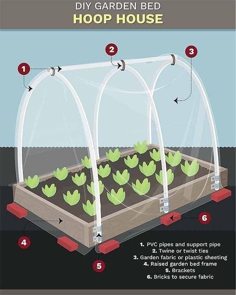 Diy Hoop House Raised Beds, Raised Bed Hoop House, Garden Bed Enclosure, Hoop Greenhouse, Hoop Garden, Diy Hoop House, Hoop House, Greenhouse Cover, Winter Vegetables Gardening