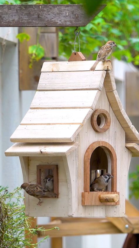 DIY Wooden Bird House and Bird Feeder | Instagram Rustic Bird Feeders, Bird Feeder Stands, Bird House Plans Free, Unique Bird Feeders, Wood Bird Feeder, Wooden Bird Feeders, Homemade Bird Houses, Bird Houses Ideas Diy, Bird Tables