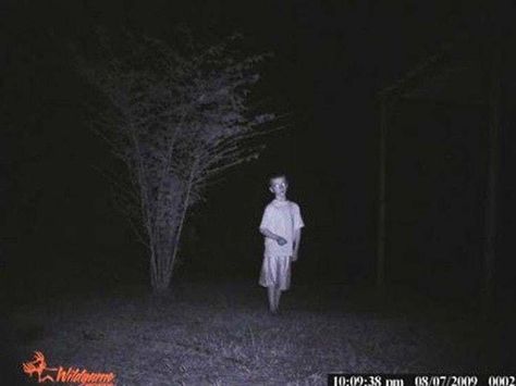 Children Of The Corn is listed (or ranked) 11 on the list Horrifying Real Pictures From Trail Cameras Trail Cam, Scary Night, Creepy Things, Real Ghosts, Creepy Pictures, Ghost Pictures, Ghost Photos, Scary Places, Haunted Places