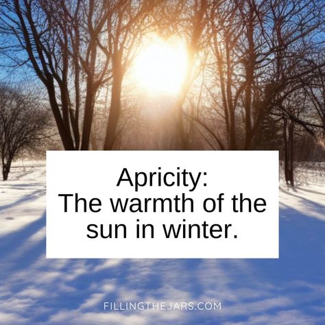 31 Winter Sun Quotes That Capture Every Winter Mood Winter Sun Captions, Winter Sun Quotes, Weather Poetry, Winter Journal Prompts, Sun In Winter, Summer Catch, Sunrise Quotes, Cozy Winter Vibes, Winter Poems