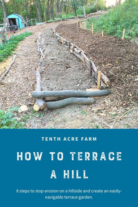 Diy Terraced Garden, Sloped Homestead, Permaculture Design On Slope, Vegetable Garden Slope, Slope Terrace Hill Landscaping, Terraced Sloped Yard, Terraced Garden Planting Ideas, Landscape Terrace Sloped Yard, Sloping Vegetable Garden