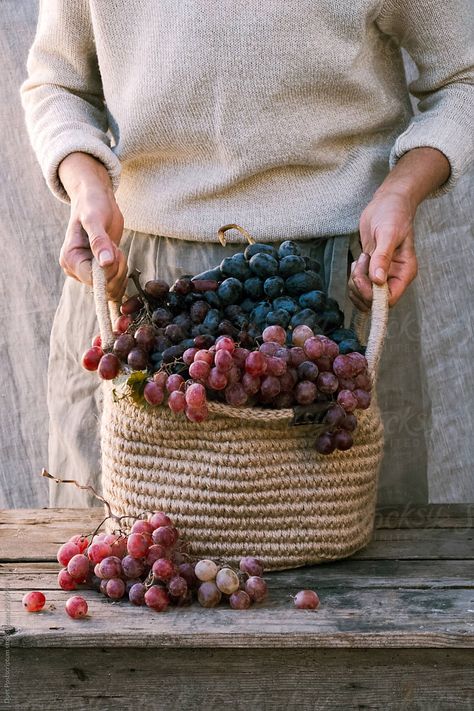 David Sinclair, Living In Boston, Grape Harvesting, Fall Gathering, Reverse Aging, Hands Holding, Food Supply, Cold Therapy, Aging Process