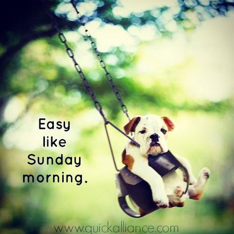 Enjoy your Sunday! #sunday #morning #blessed #love #bestoftheday #instagood #follow #picoftheday #happy #photooftheday #likes #igers #instadaily Sunday Morning Memes, Sunday Meme, Sunday Humor, Happy Sunday Morning, Sunday Morning Quotes, Sunday Quotes Funny, Quotes Dream, Morning Memes, Good Day Sunshine