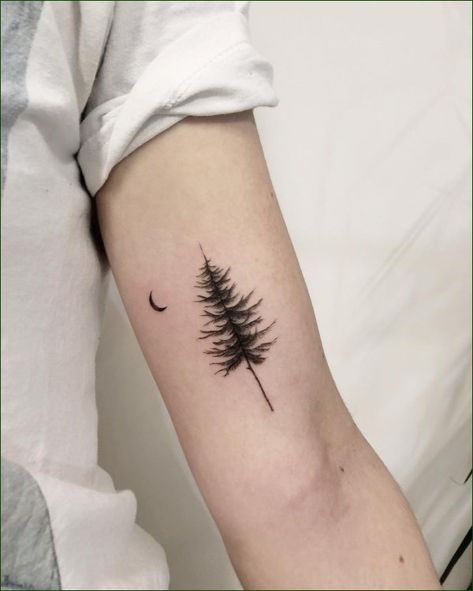 Tree Silhouette Tattoo, Pine Tree Tattoo, Small Tats, Tree Tattoo Designs, Silhouette Tattoos, Tree Silhouette, Feminine Tattoos, Tree Tattoo, Pine Tree