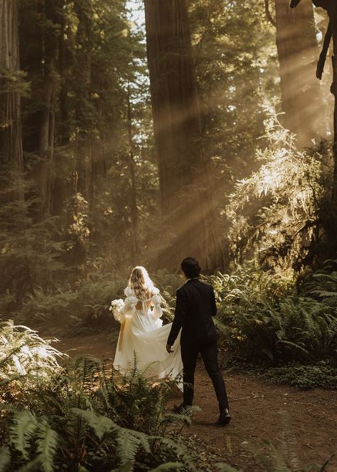 All About Anna, Redwoods National Park, Redwoods Elopement, Elopement California, Twilight Wedding, California Redwoods, Redwood Wedding, Redwood Trees, Forest Theme Wedding