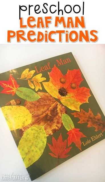 Preschool Leaves, Picture Book Ideas, Lois Ehlert, Fall Planning, Reading Inspiration, Fall Preschool Activities, Leaf Man, Prek Classroom, Fall Classroom